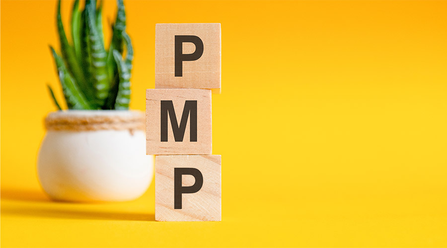 PMP Certification Requirements And Eligibility In 2024