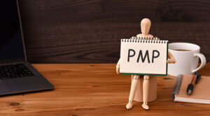 pmp exam preparation